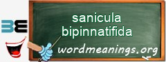 WordMeaning blackboard for sanicula bipinnatifida